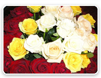 ���� ����������